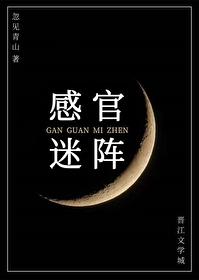 感官游戏最后什么意思
