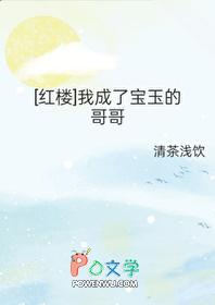 红楼之穿成宝玉