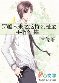 穿越未来之木木